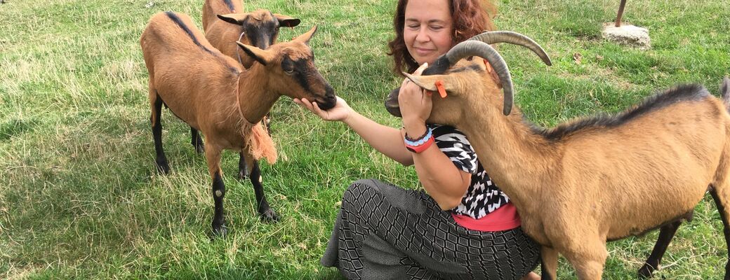 Na dva dny farmářem na Farmě Košík