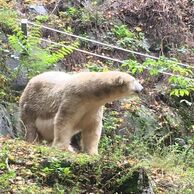 Šárka Neužilová (Mladá Boleslav, 25) na Ošetřovateli v ZOO