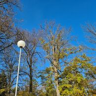 účastník zážitku (Otrokovice, 52) na Kurzu fotografování mobilem