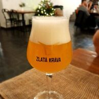 účastník zážitku (Jihlava, 38) na Pivním hotelu s pípou na pokoji a wellness v pivních lázních