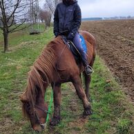 účastník zážitku (Beroun, 55) na Romantické vyjížďce na koni ve dvou