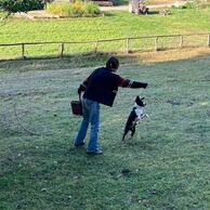 účastník zážitku (Praha, 52) na Na dva dny farmářem na Farmě Košík