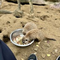 účastník zážitku (Pardubice, 34) na Ošetřovateli v ZOO