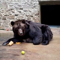 účastník zážitku (Pardubice, 34) na Ošetřovateli v ZOO