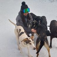 Jakub Najman (Mohelnice, 30) na Mushingu: Jízdě na psím spřežení