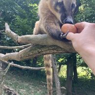 účastník zážitku (Žďár nad Sázavou, 48) na Ošetřovateli v ZOO