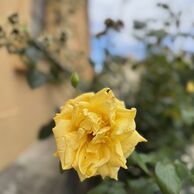 účastník zážitku (Kladno, 48) na Kurzu fotografování mobilem