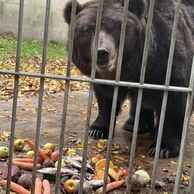 Silvie Oulehlová (Velké Meziříčí, 31) na Ošetřovateli v ZOO