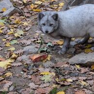 Ludmila Horníková (Pardubice, 30) na Ošetřovateli v ZOO