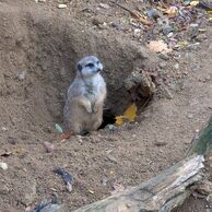 Ludmila Horníková (Pardubice, 30) na Ošetřovateli v ZOO