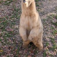 Ludmila Horníková (Pardubice, 30) na Ošetřovateli v ZOO