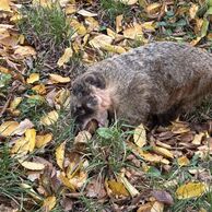 Ludmila Horníková (Pardubice, 30) na Ošetřovateli v ZOO