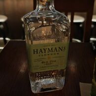 Patrik Brejcha (Jílové u Prahy, 37) na Degustaci ginů & toniců