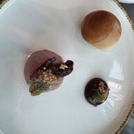 účastník zážitku (Praha, 65) na Obědovém menu v Tančícím domě