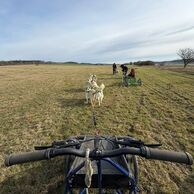 Kristýna Pawerová (Praha, 32) na Mushingu: Jízdě na psím spřežení