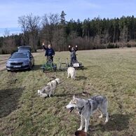 účastník zážitku (Klatovy, 53) na Mushingu: Jízdě na psím spřežení