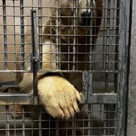 účastník zážitku (Velatice, 36) na Ošetřovateli v ZOO