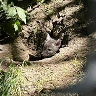 účastník zážitku (Velatice, 36) na Ošetřovateli v ZOO