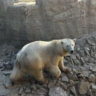 účastník zážitku (Velatice, 36) na Ošetřovateli v ZOO