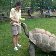 účastník zážitku (Rakovnik, 26) na Ošetřovateli v ZOO