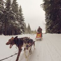 účastník zážitku (Znojmo, 26) na Musherovi na vlastní kůži