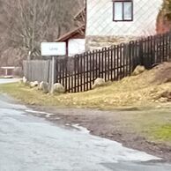Zdeňka Andrlová (Duchcov, 67) na Wellness pobytu na Šumavě